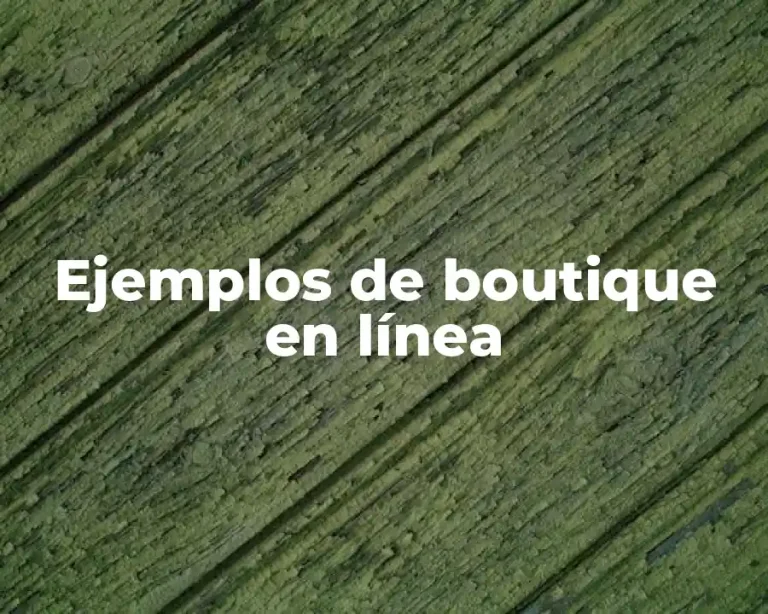 Ejemplos de boutique en línea