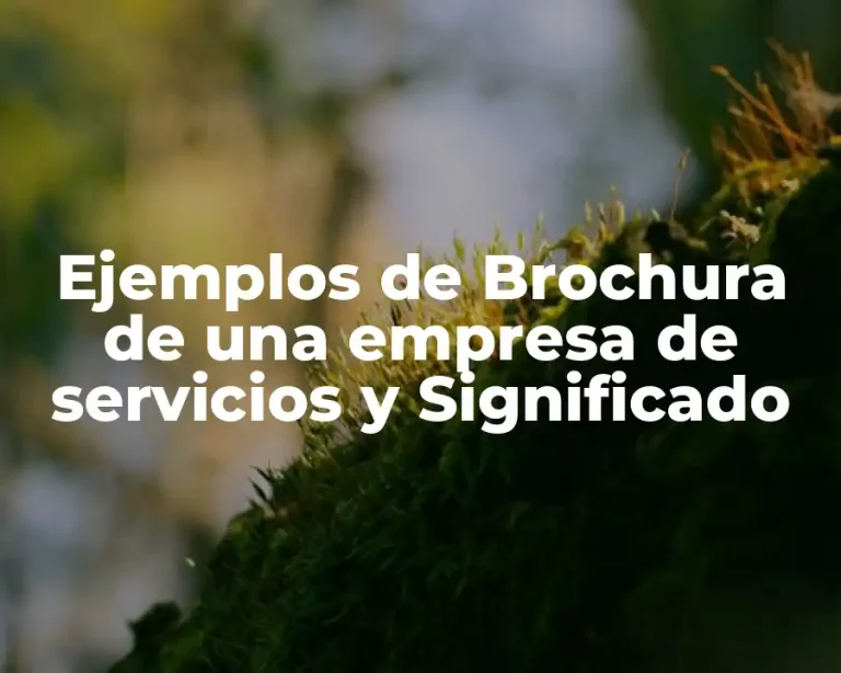 Ejemplos de Brochura de una empresa de servicios y Significado