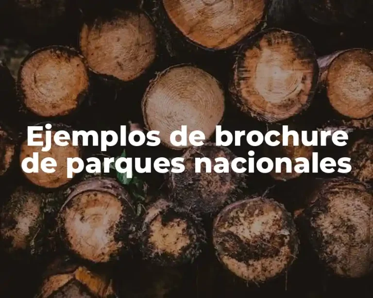 Ejemplos de brochure de parques nacionales