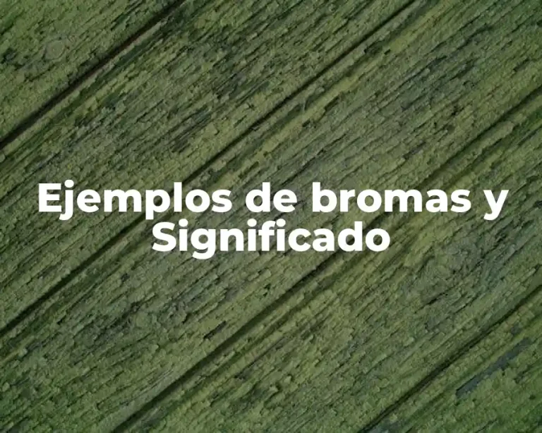 Ejemplos de bromas y Significado