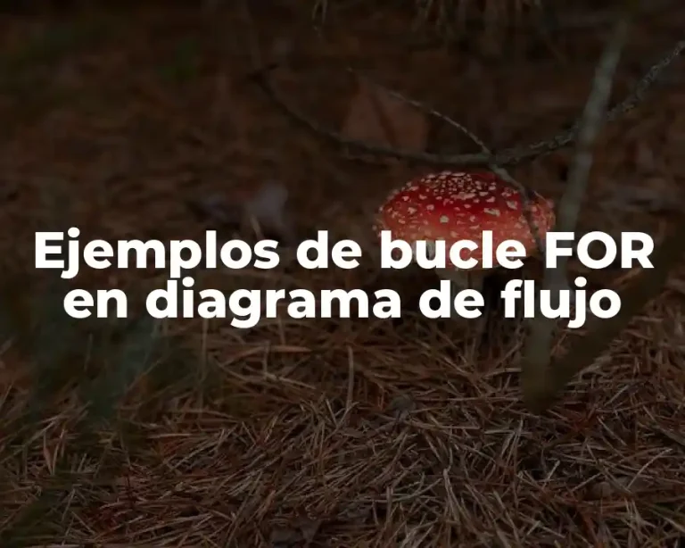 Ejemplos de bucle FOR en diagrama de flujo
