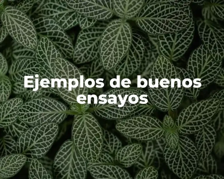 Ejemplos de buenos ensayos