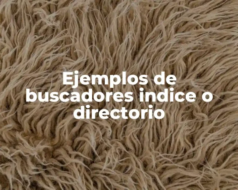 Ejemplos de buscadores indice o directorio