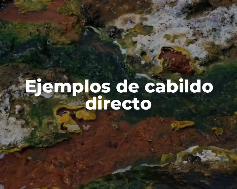 Ejemplos de cabildo directo