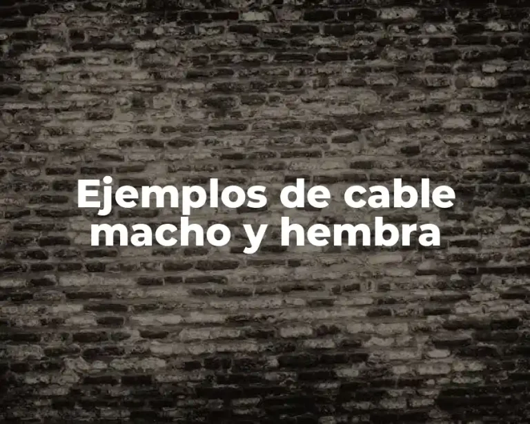Ejemplos de cable macho y hembra
