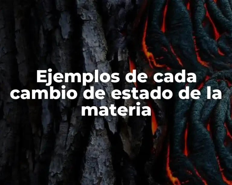 Ejemplos de cada cambio de estado de la materia