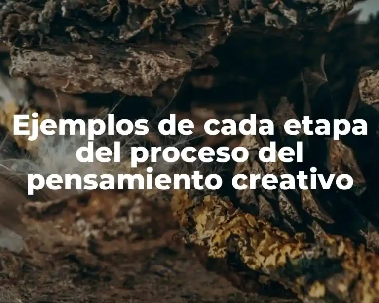 Ejemplos de cada etapa del proceso del pensamiento creativo