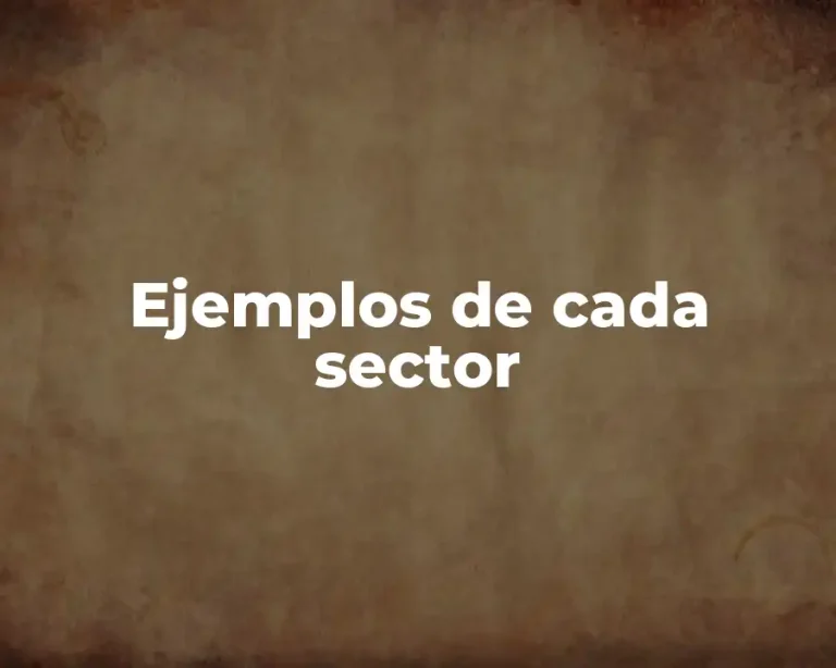 Ejemplos de cada sector