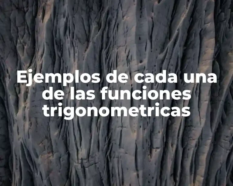 Ejemplos de cada una de las funciones trigonometricas