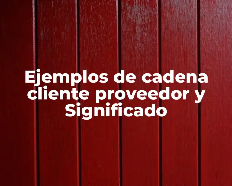 Ejemplos de cadena cliente proveedor y Significado