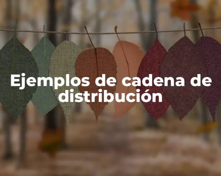 Ejemplos de cadena de distribución