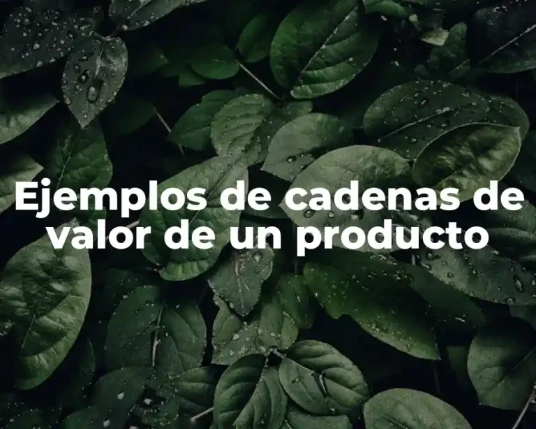 Ejemplos de cadenas de valor de un producto