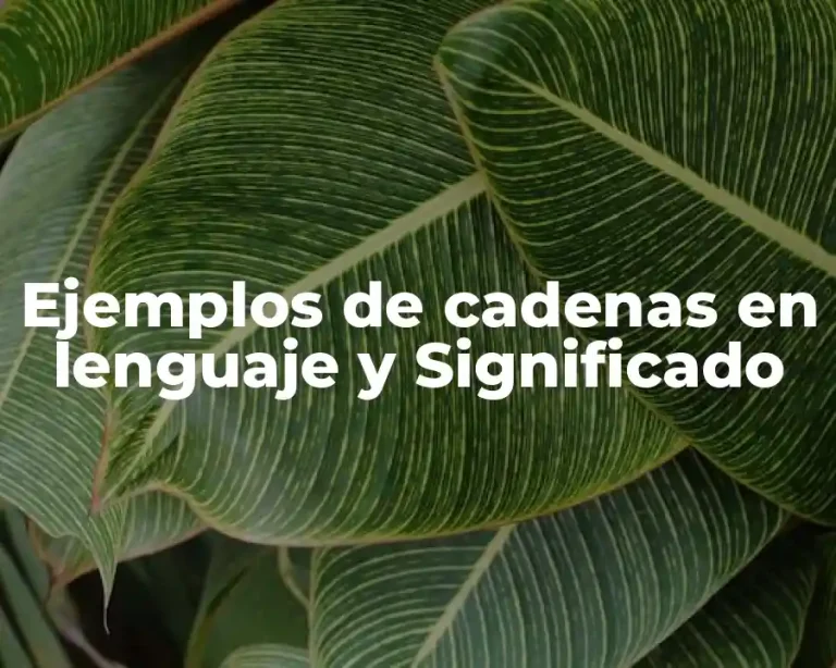 Ejemplos de cadenas en lenguaje y Significado