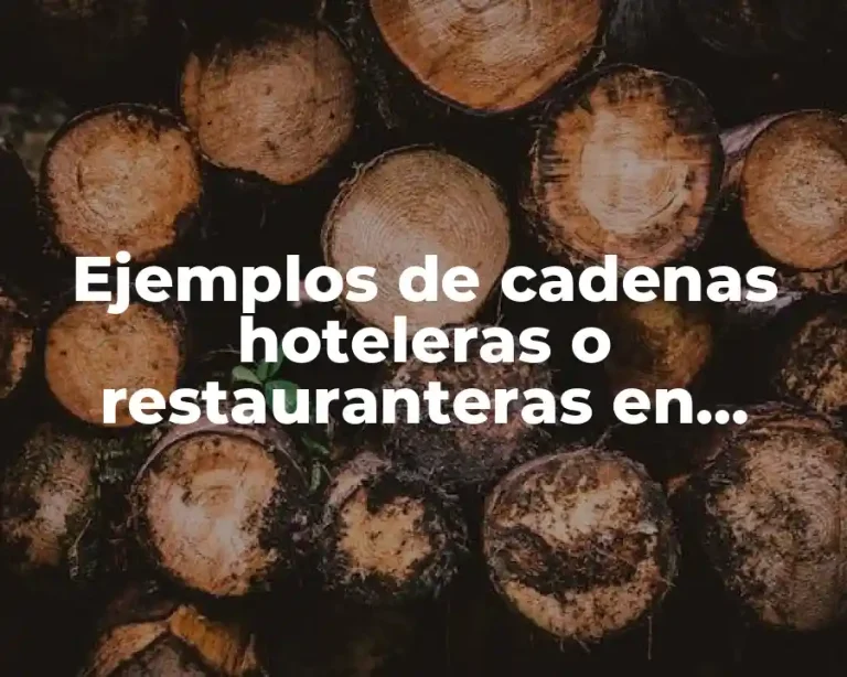 Ejemplos de cadenas hoteleras o restauranteras en México
