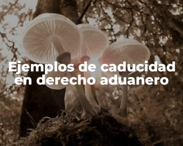 Ejemplos de caducidad en derecho aduanero