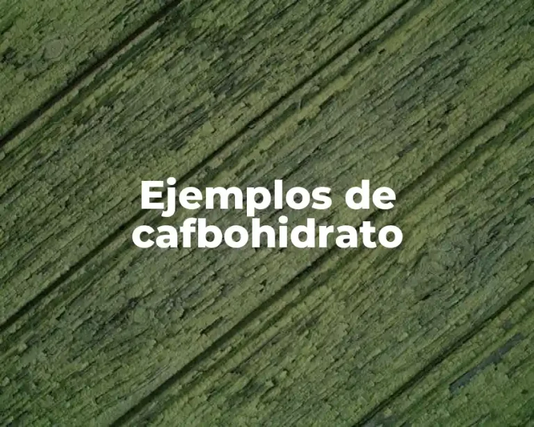 Ejemplos de cafbohidrato