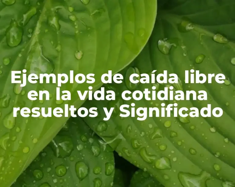 Ejemplos de caída libre en la vida cotidiana resueltos y Significado