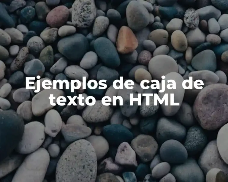 Ejemplos de caja de texto en HTML