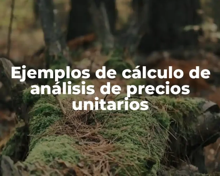 Ejemplos de cálculo de análisis de precios unitarios