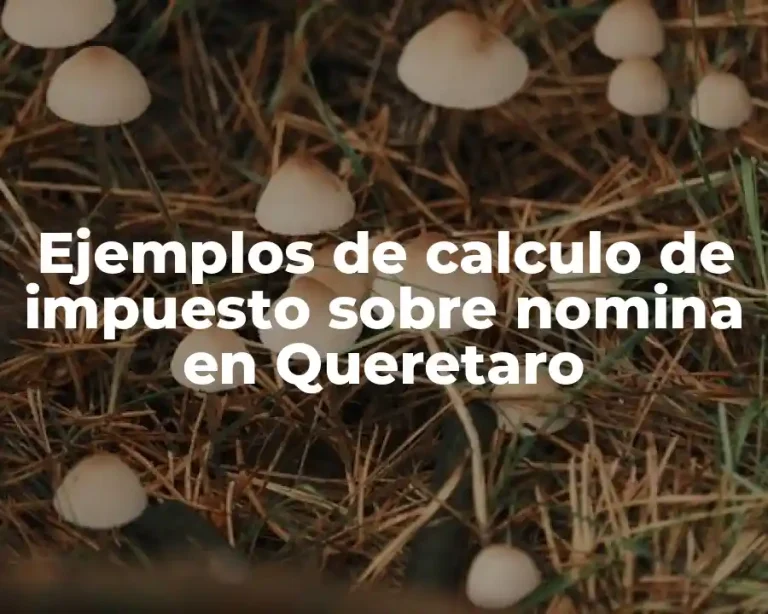 Ejemplos de calculo de impuesto sobre nomina en Queretaro