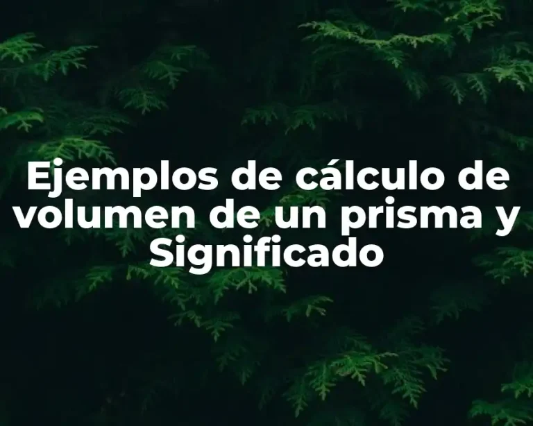 Ejemplos de cálculo de volumen de un prisma y Significado
