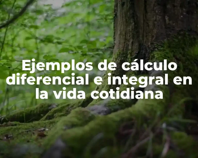 Ejemplos de cálculo diferencial e integral en la vida cotidiana