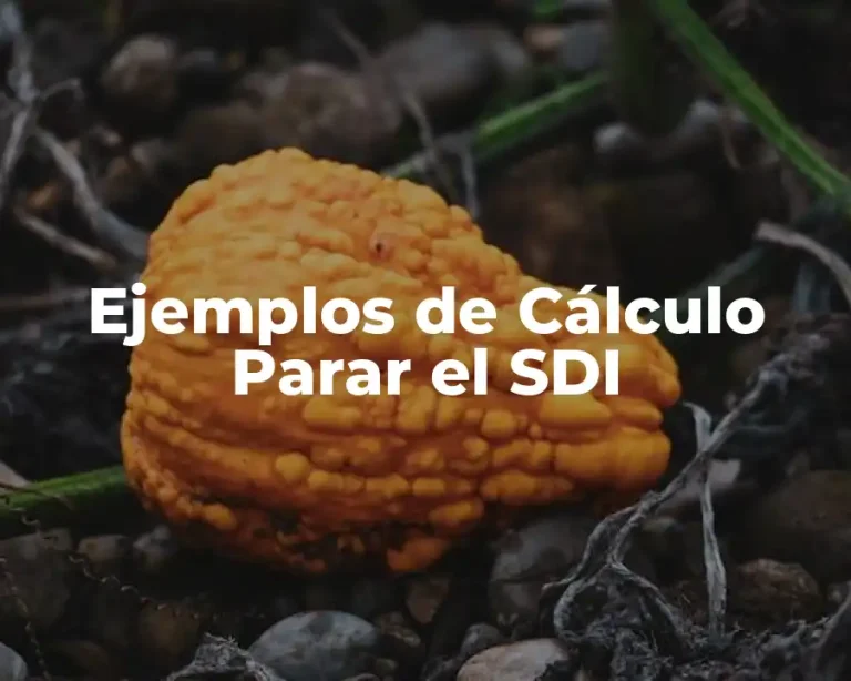 Ejemplos de Cálculo Parar el SDI