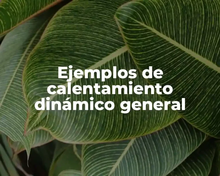 Ejemplos de calentamiento dinámico general