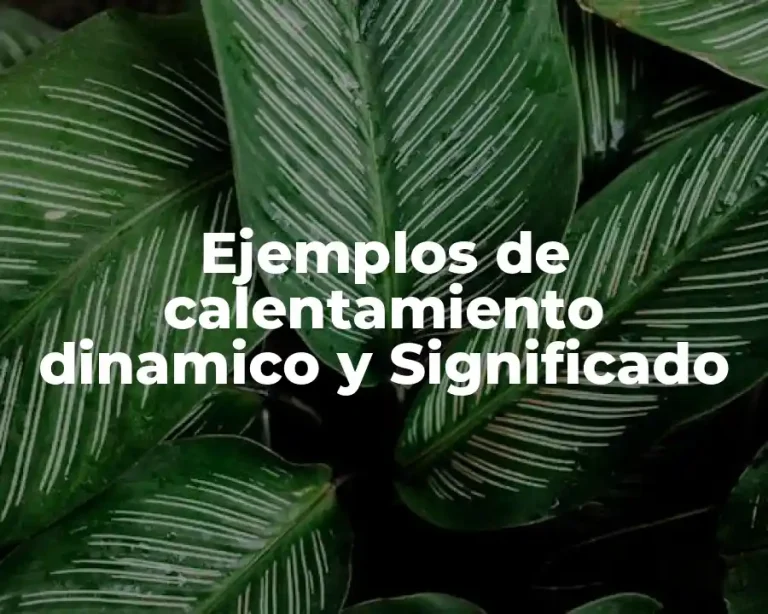 Ejemplos de calentamiento dinamico y Significado
