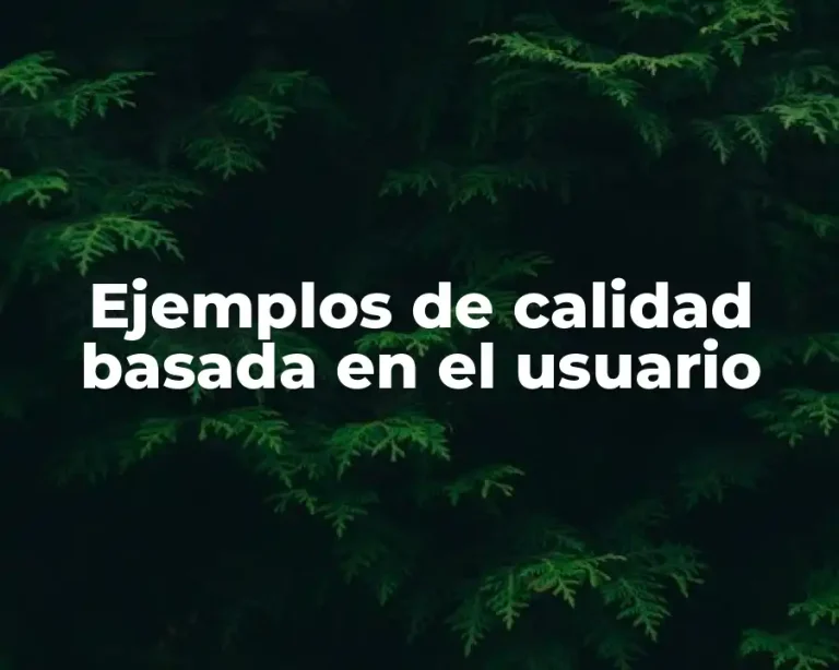Ejemplos de calidad basada en el usuario