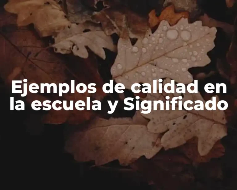 Ejemplos de calidad en la escuela y Significado