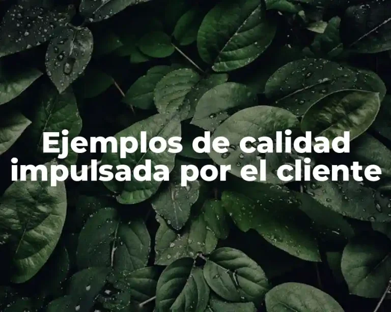 Ejemplos de calidad impulsada por el cliente