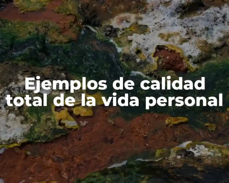 Ejemplos de calidad total de la vida personal