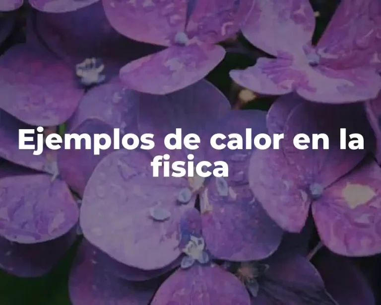 Ejemplos de calor en la fisica