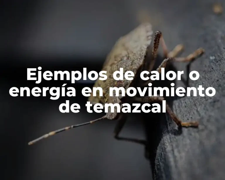 Ejemplos de calor o energía en movimiento de temazcal