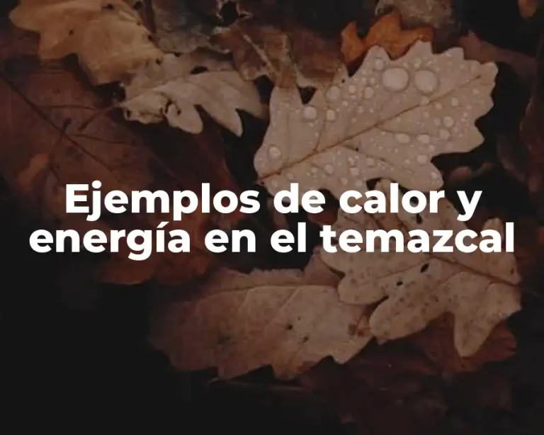 Ejemplos de calor y energía en el temazcal