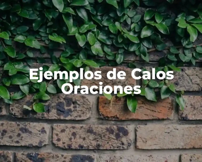 Ejemplos de Calos Oraciones