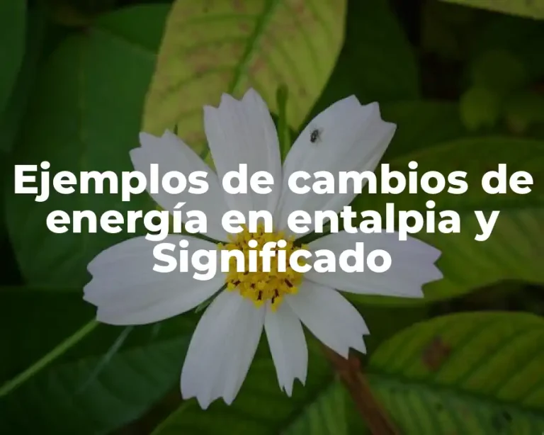 Ejemplos de cambios de energía en entalpia y Significado