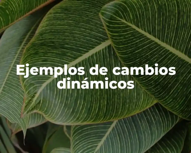 Ejemplos de cambios dinámicos