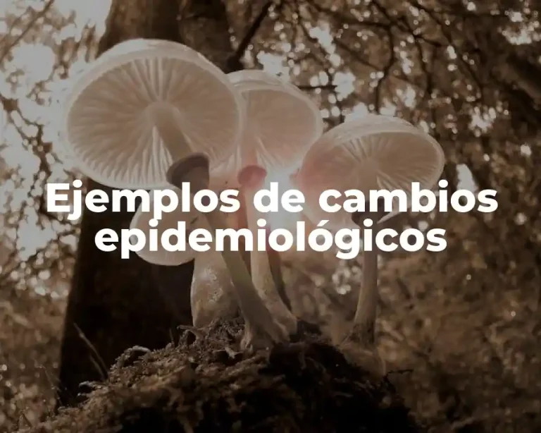 Ejemplos de cambios epidemiológicos
