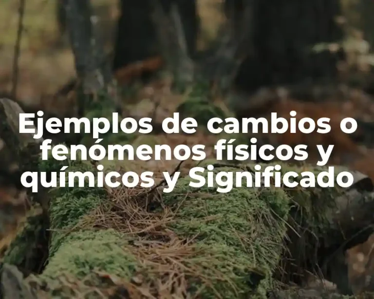 Ejemplos de cambios o fenómenos físicos y químicos y Significado