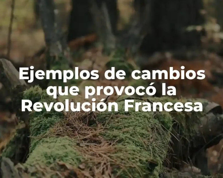 Ejemplos de cambios que provocó la Revolución Francesa