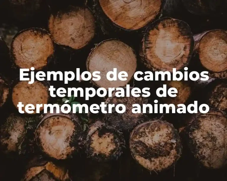 Ejemplos de cambios temporales de termómetro animado