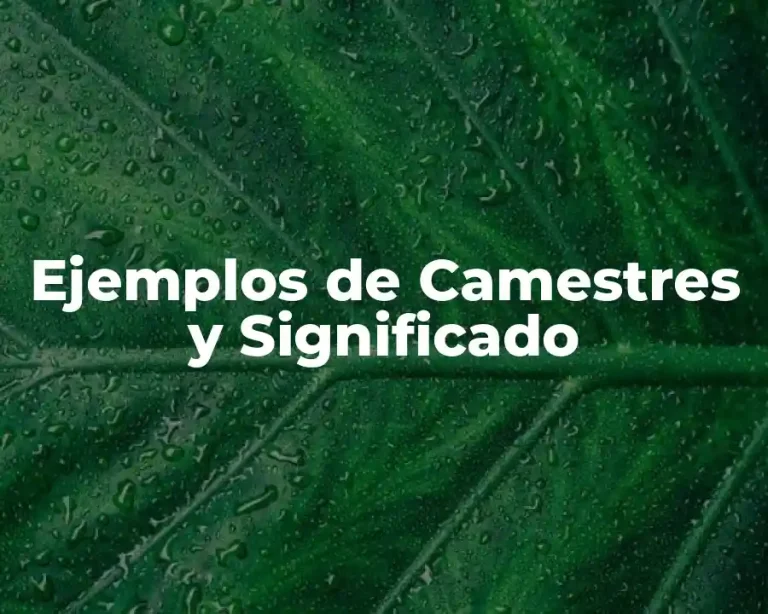 Ejemplos de Camestres y Significado
