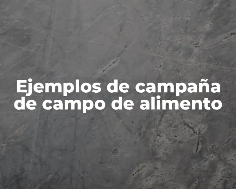 Ejemplos de campaña de campo de alimento