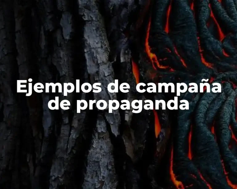 Ejemplos de campaña de propaganda