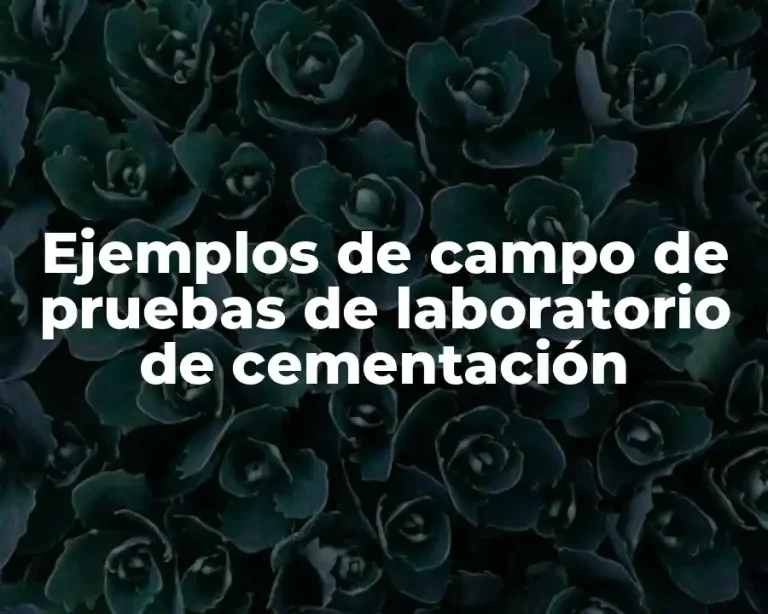 Ejemplos de campo de pruebas de laboratorio de cementación