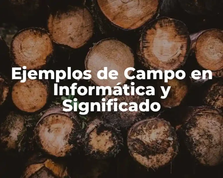 Ejemplos de Campo en Informática y Significado