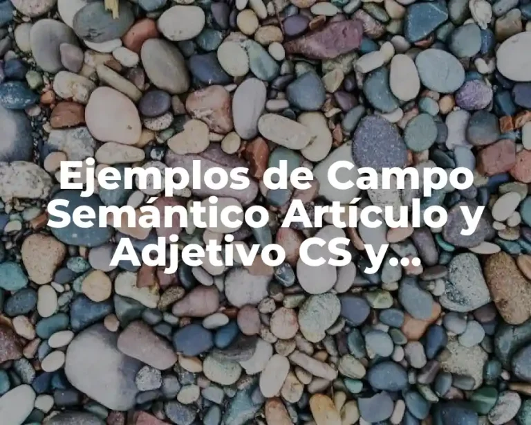 Ejemplos de Campo Semántico Artículo y Adjetivo CS y Significado