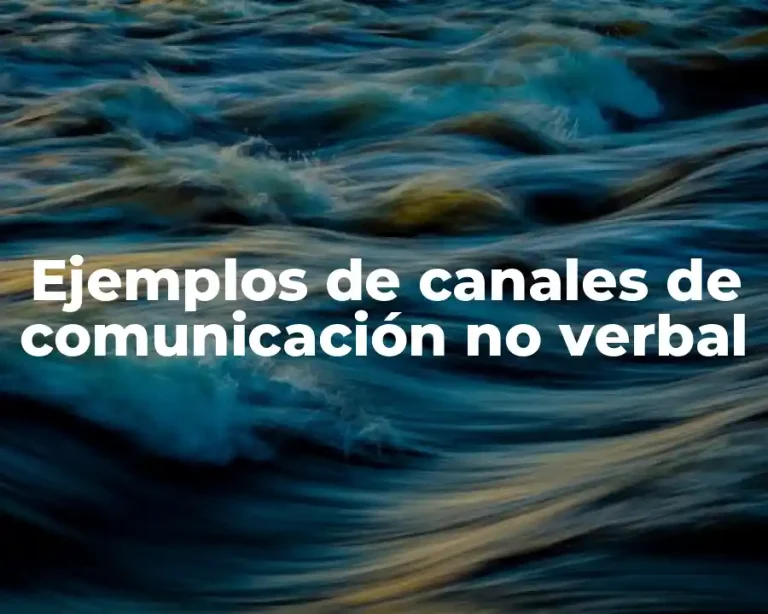 Ejemplos de canales de comunicación no verbal